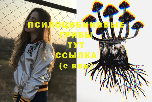 прущие крисы Приозерск
