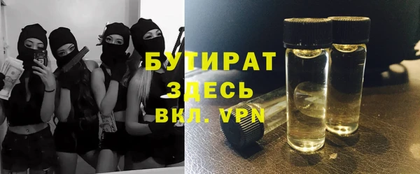 шишки Покачи