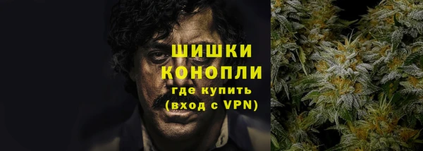 прущие грибы Протвино