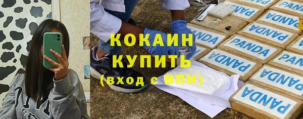 прущие грибы Протвино