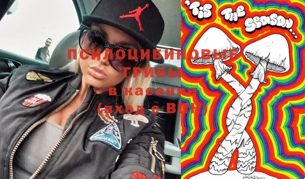 прущие грибы Протвино
